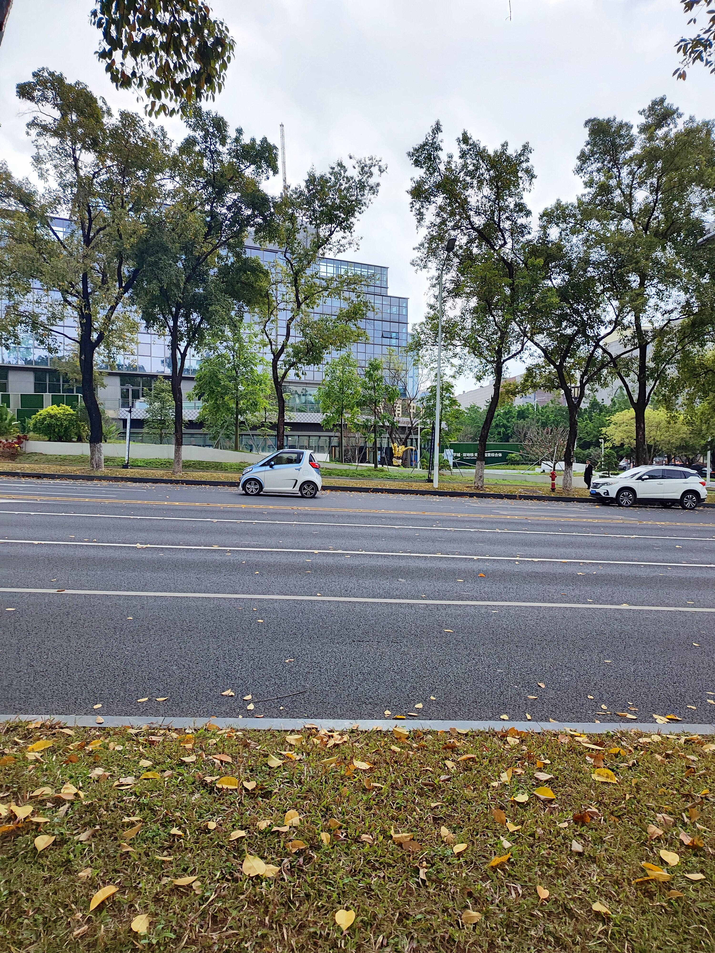 路边看到这种迷你的小车，感觉很不错，出行很方便，又不会淋到雨，而且还有点可爱。