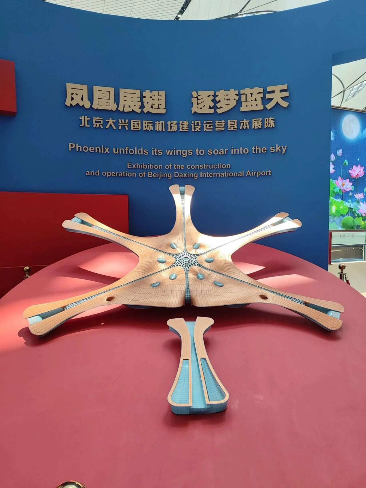 在北京吃了五天，怎么也没想到，在北京吃的最后一顿餐，我爸妈觉得最好吃，在机场吃的外婆菜，单点没有选择套餐了，我也觉得清淡，确实不错，吃完之后，发现机场内部竟然有展览，就逛了一下，机场的模型竟然是凤凰展翅。