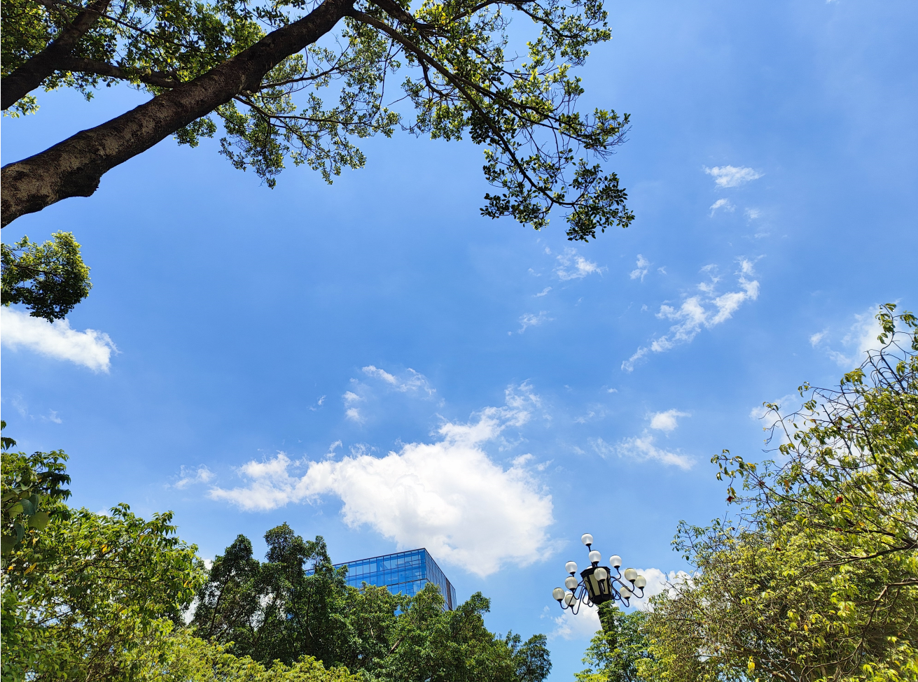 这周天气终于转晴了，天空就像穿上了白蓝相间裙子一样，开心的我约上了周末体检，虽然约同事一起去，但是同事有事婉拒了，为了不浪费这么好的天气，我决定一个人去体检，这还是第一次体验免费体检的待遇。