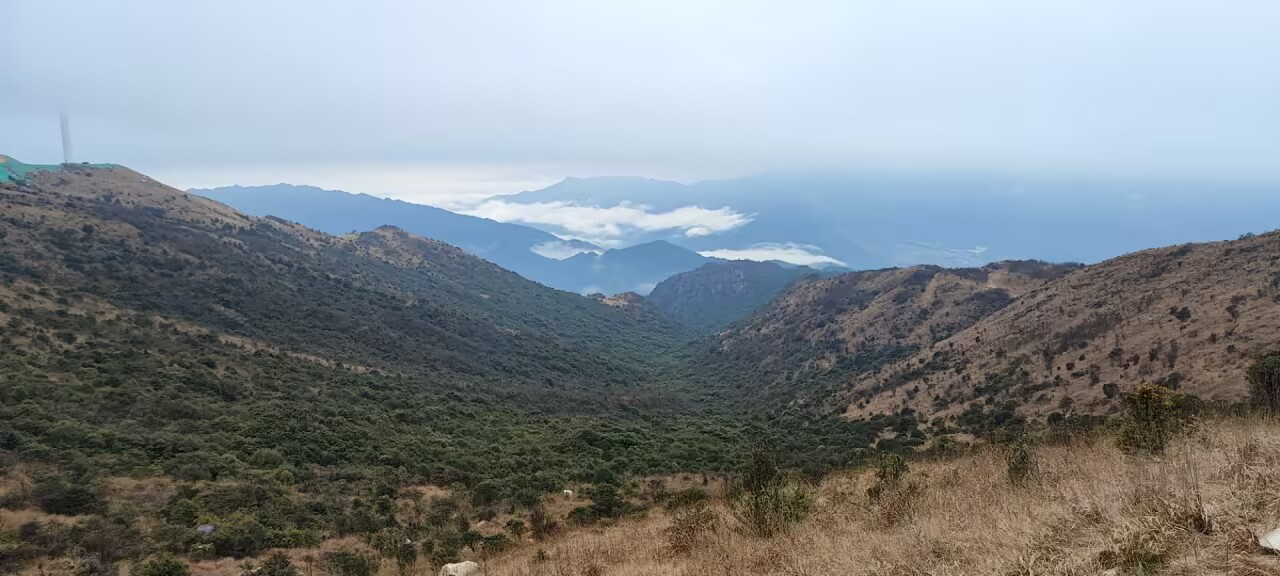新年第一次爬山，跟家人一起，很开心，喜欢爬山到处看得都是绿色，喜欢站在高处瞭望远方，喜欢一览众山小的感觉。这是工作以来，在家休息的最久的一次，年假一次性全部休完，哈哈，能有更多的时间陪家人。
